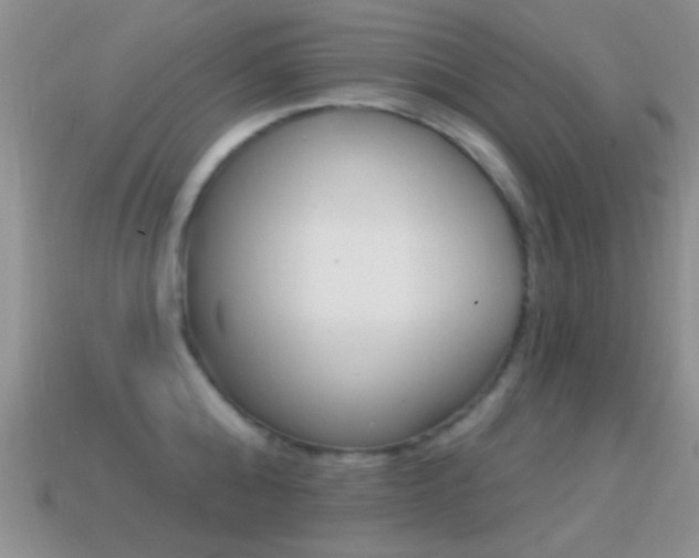 X0000114720808200910211050