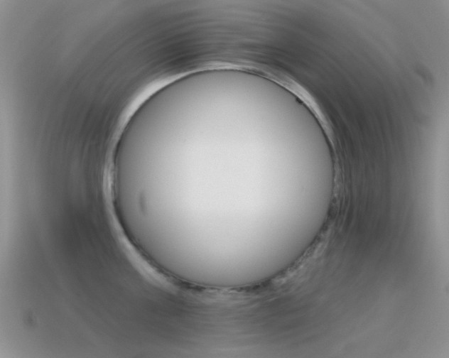X0000114720811200910211050