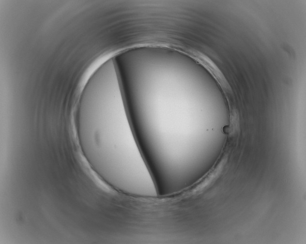 X0000114720812200910211050