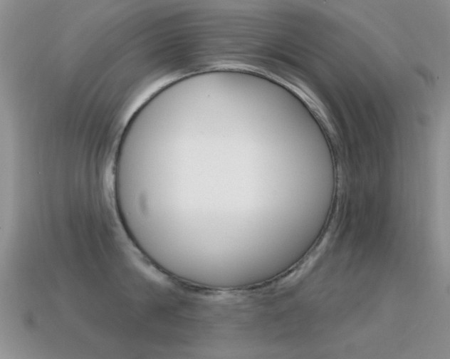 X0000114720814200910211050