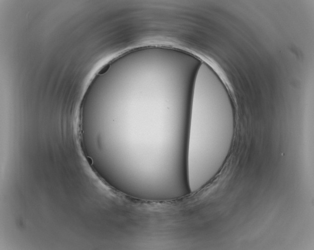 X0000114720815200910211050