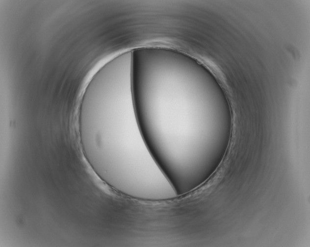 X0000114720816200910211050