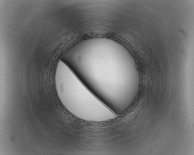 X0000114720818200910211049