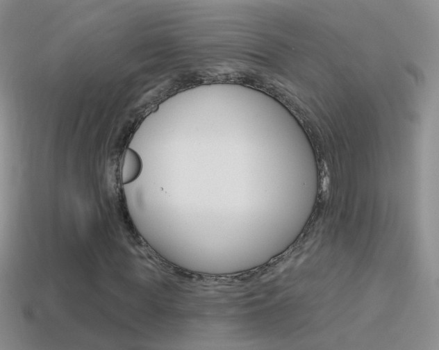 X0000114720819200910211049