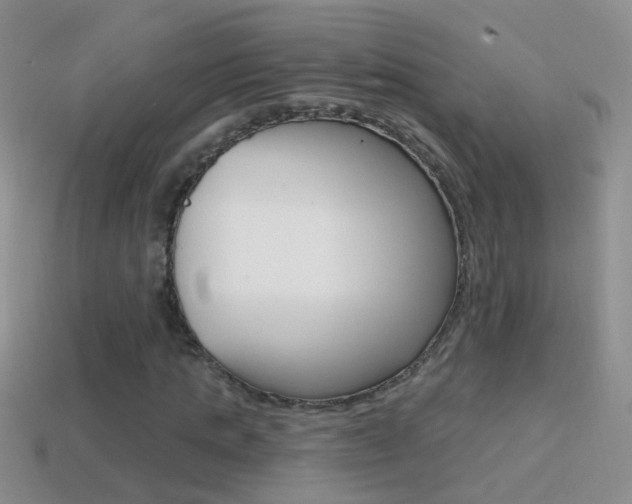 X0000114720821200910211049