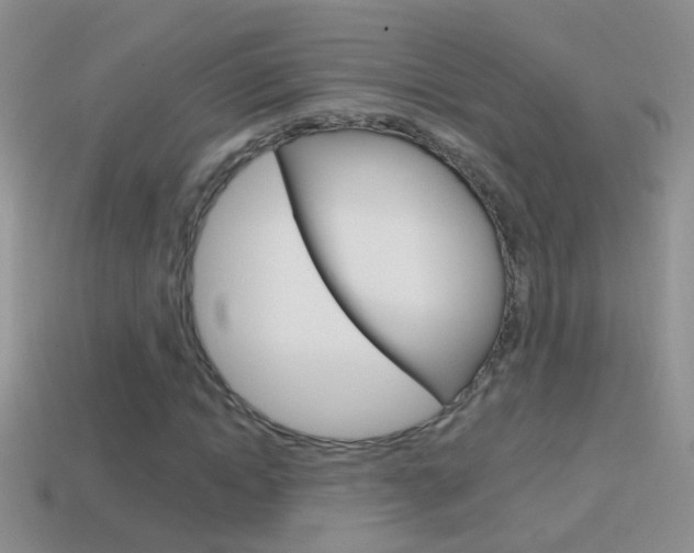 X0000114720822200910211049