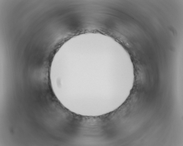 X0000114720824200910211049