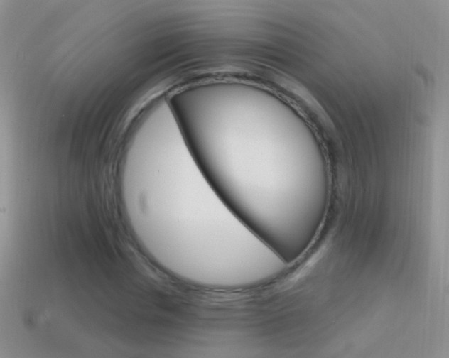 X0000114720826200910211049