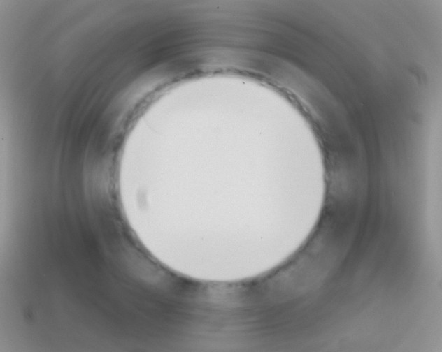 X0000114720832200910211049