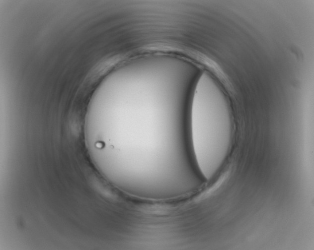 X0000114720833200910211050