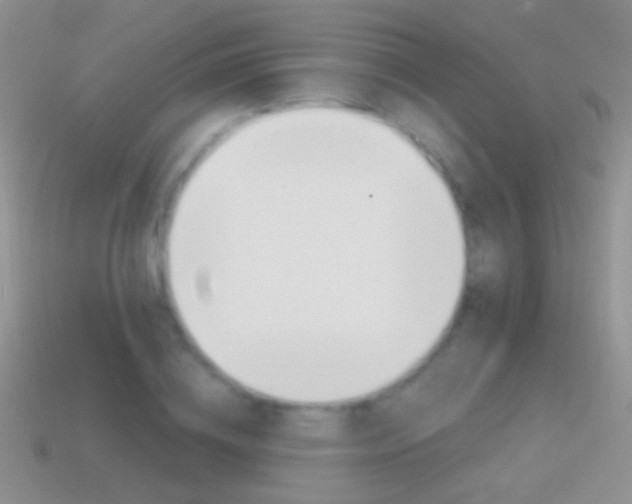 X0000114720836200910211050