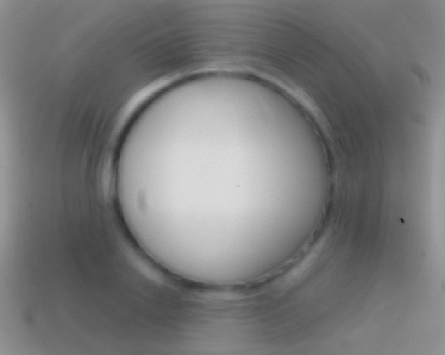 X0000114720838200910211050