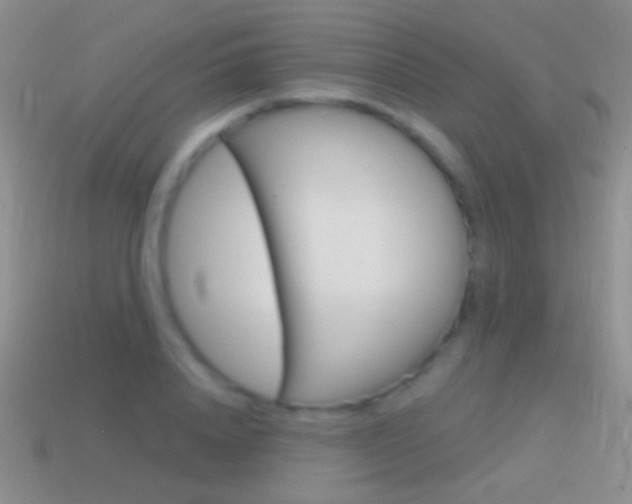 X0000114720840200910211050