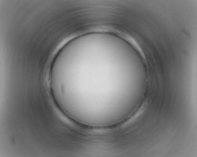X0000114720843200910211050