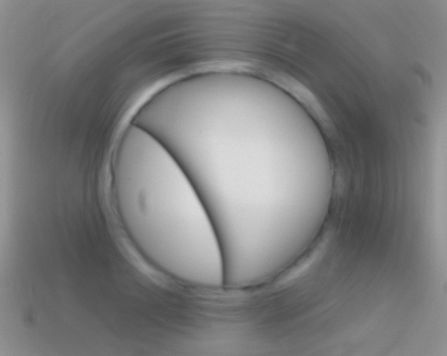 X0000114720844200910211050