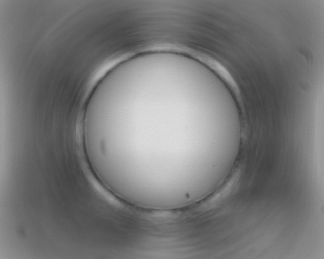 X0000114720847200910211050