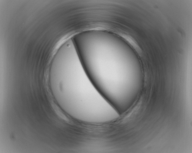 X0000114720850200910211050