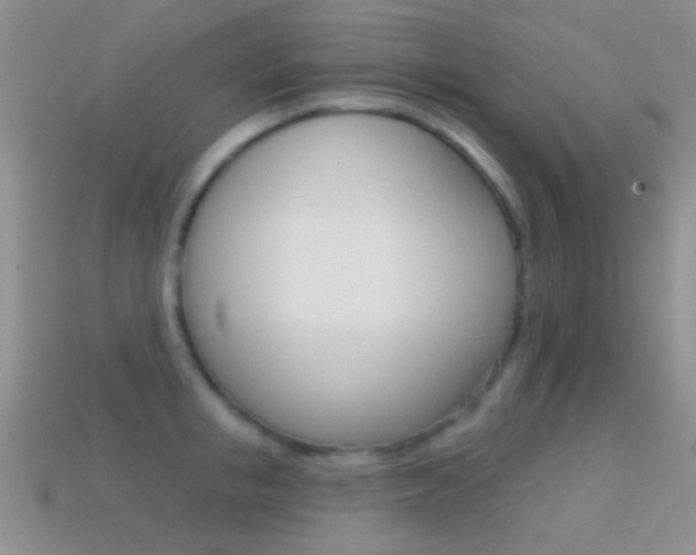 X0000114720853200910211050