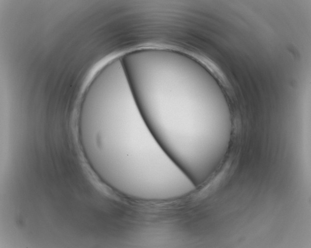 X0000114720854200910211050