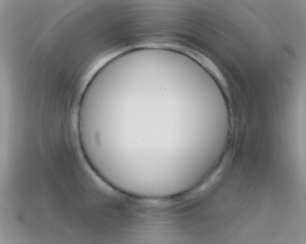 X0000114720855200910211050