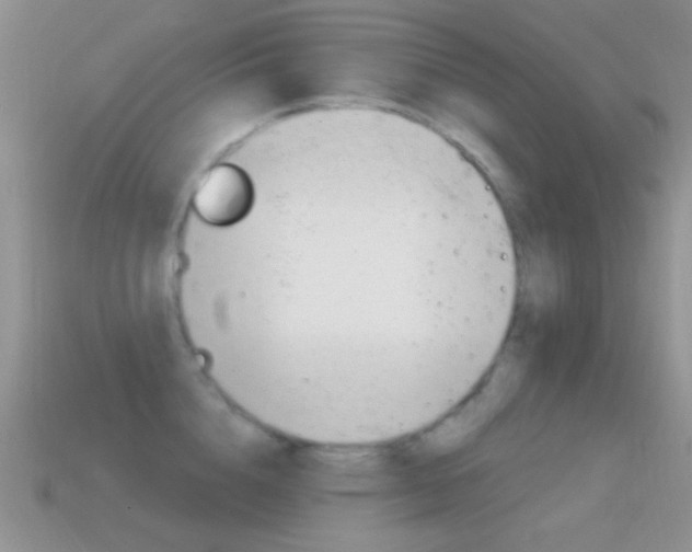 X0000114720856200910211050