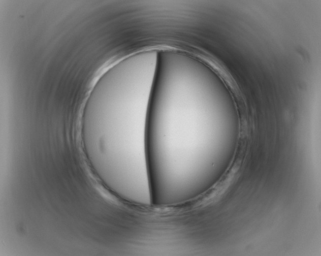 X0000114720858200910211050