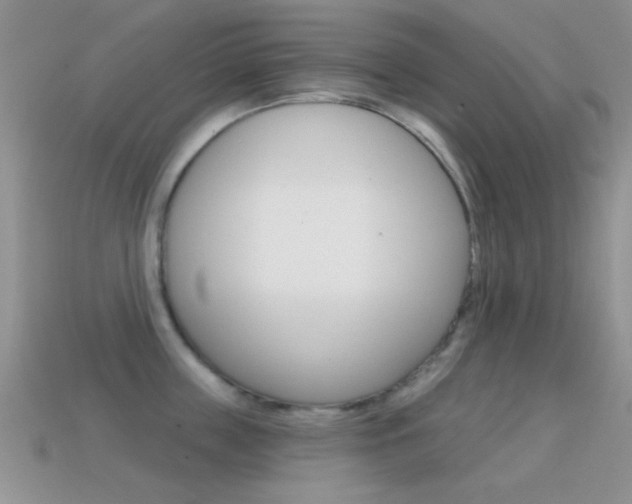 X0000114720859200910211050