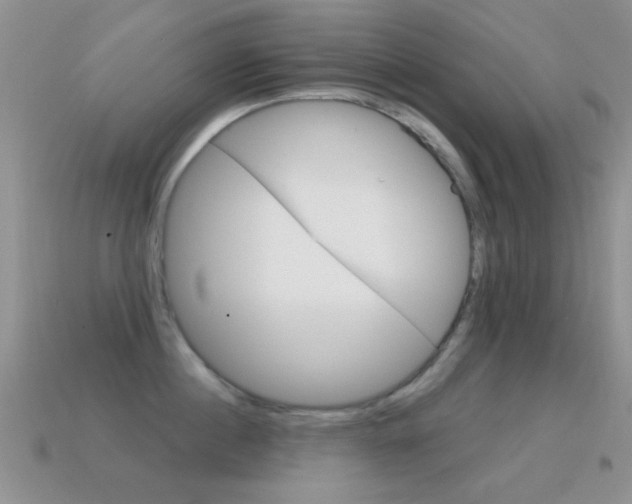 X0000114720860200910211050