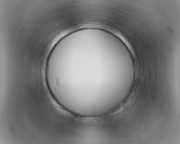 X0000114720861200910211050