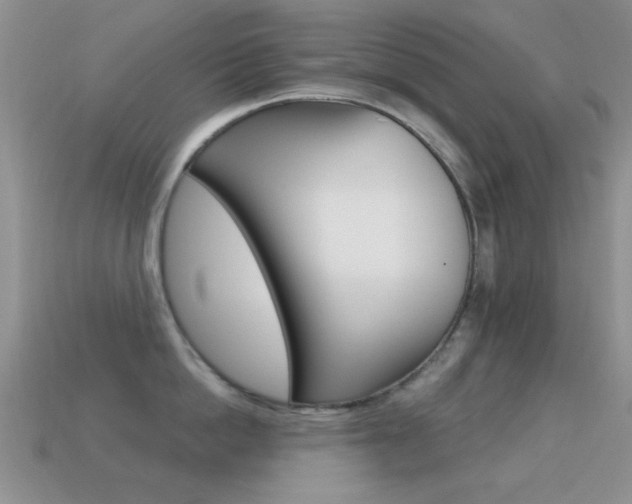 X0000114720862200910211050