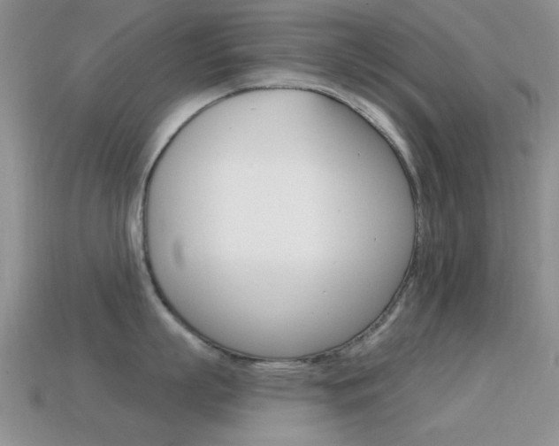 X0000114720863200910211050