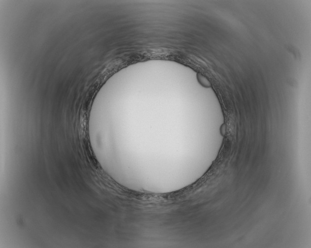 X0000114720866200910211049