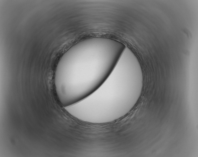 X0000114720867200910211049