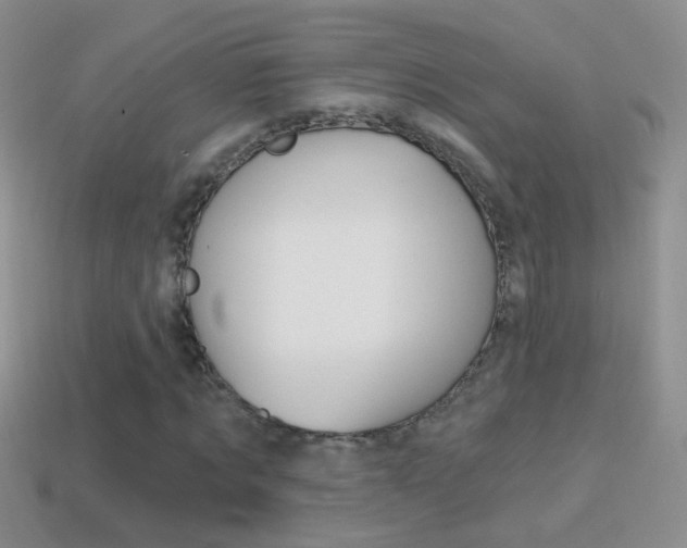 X0000114720869200910211049