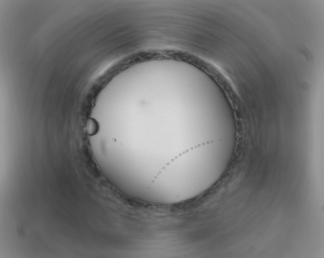 X0000114720871200910211049