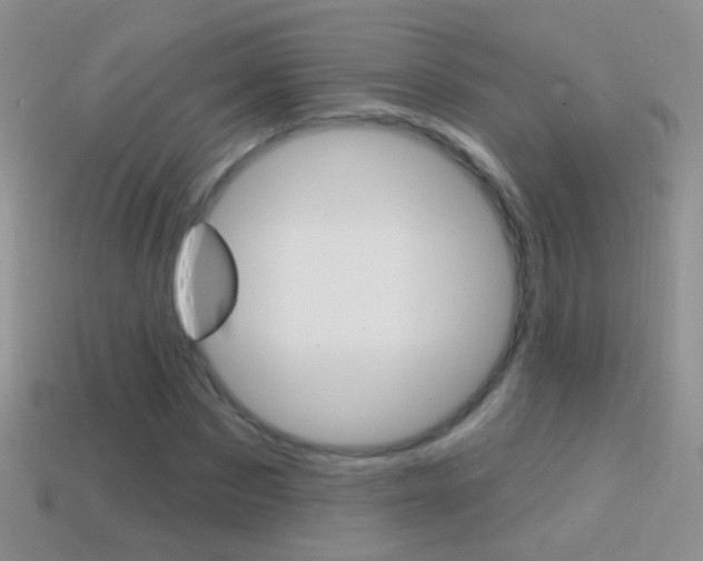 X0000114720873200910211049