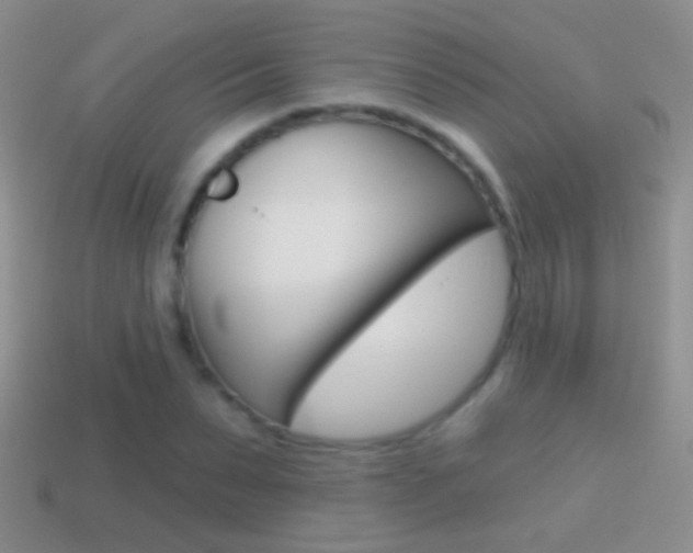 X0000114720879200910211049