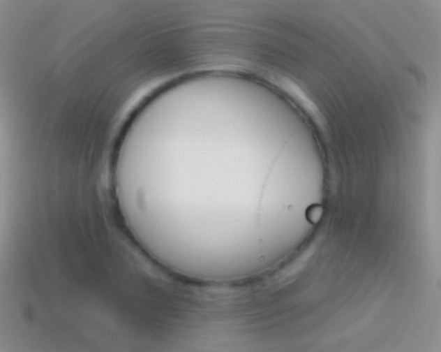 X0000114720883200910211049