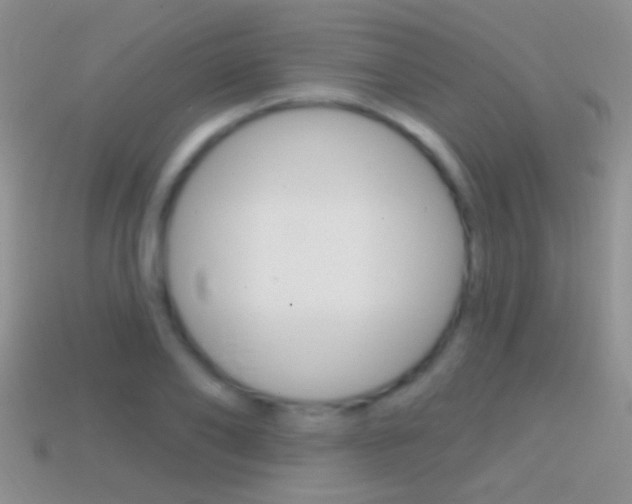 X0000114720886200910211049