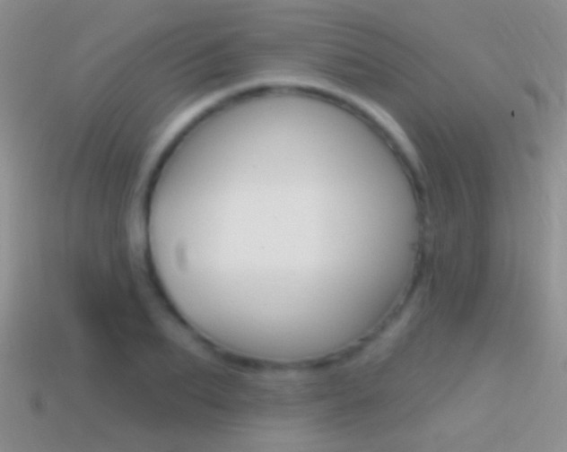 X0000114720887200910211049