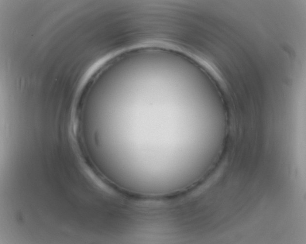 X0000114720888200910211049