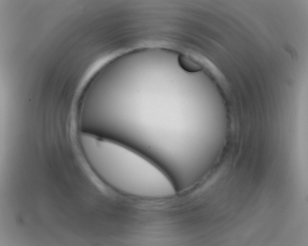 X0000114720894200910211049