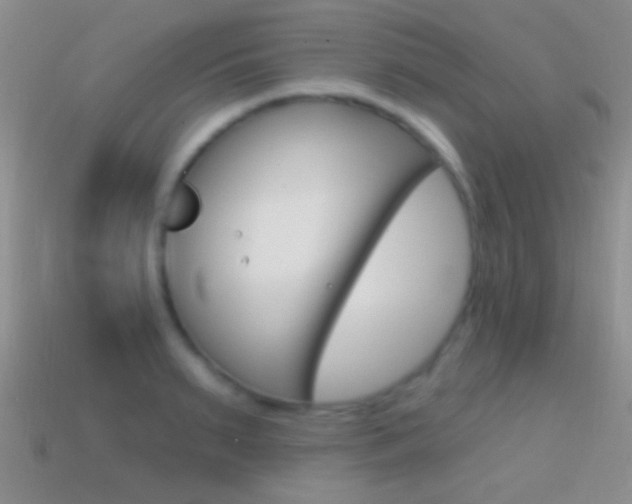 X0000114720895200910211049