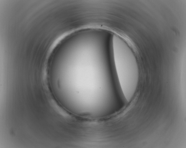 X0000114720896200910211049