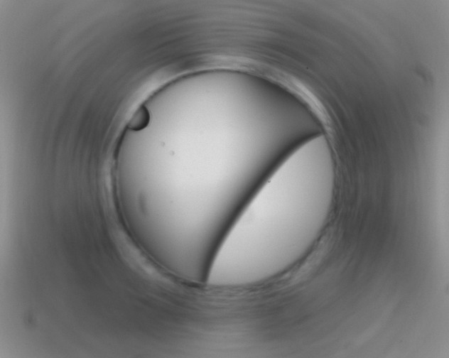 X0000114720899200910211049
