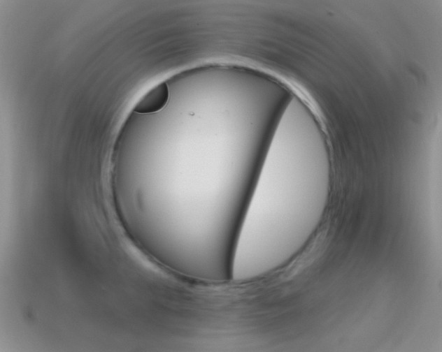 X0000114720903200910211049