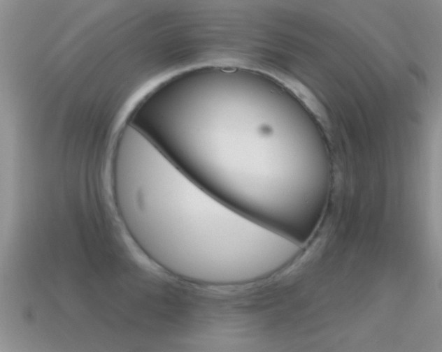 X0000114720904200910211049