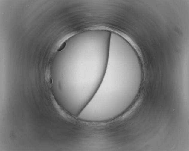 X0000114720905200910211049