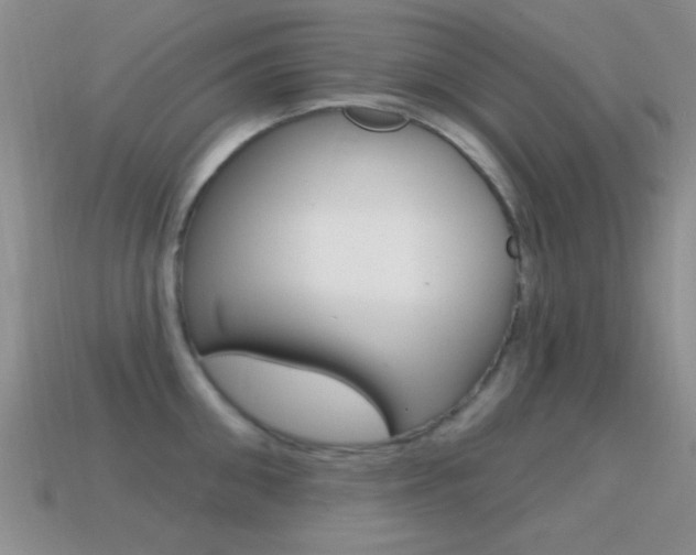 X0000114720906200910211049