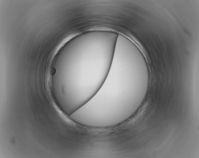 X0000114720909200910211049
